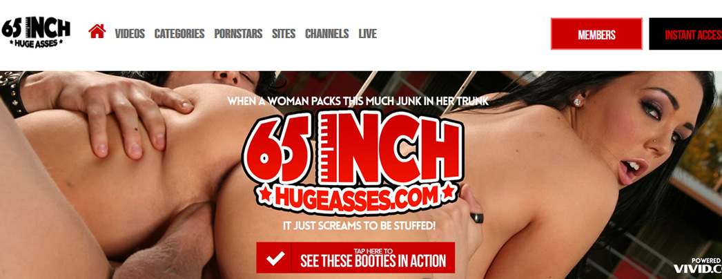 www.65inchhugeasses.com