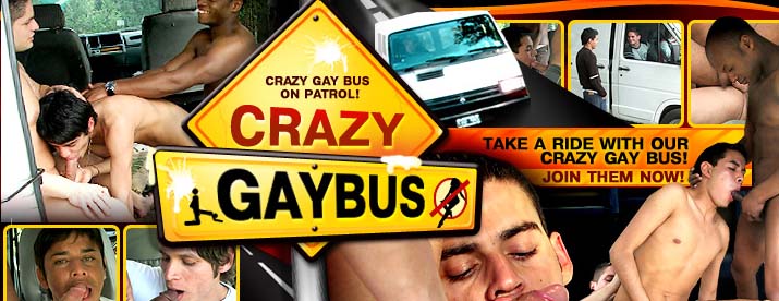 Crazy Gay Bus