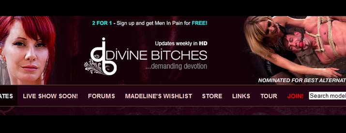 www.divinebitches.com