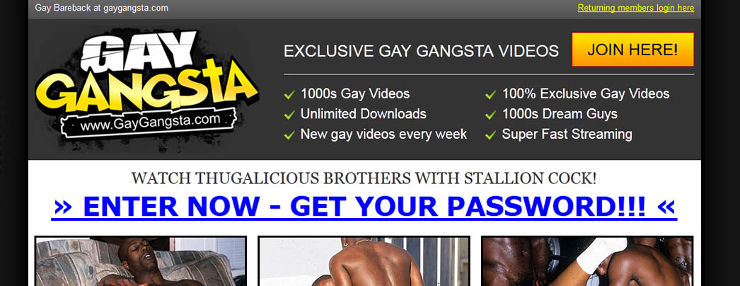 Gay Gangsta