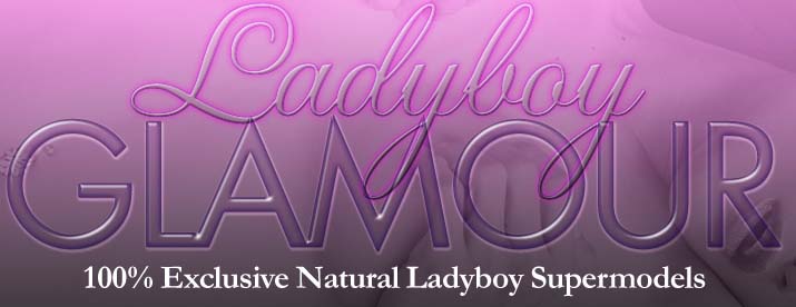 www.ladyboyglamour.com
