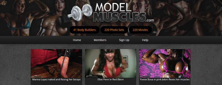 www.modelmuscles.com