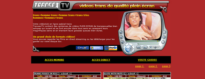 Transex TV