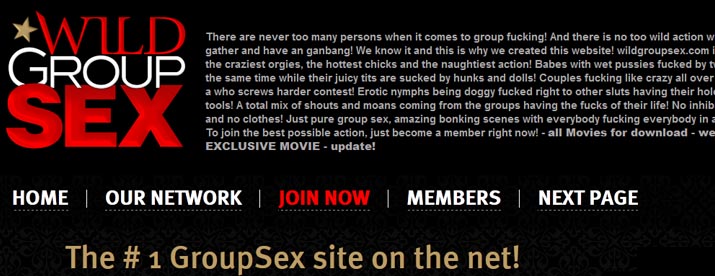 Wild Group Sex