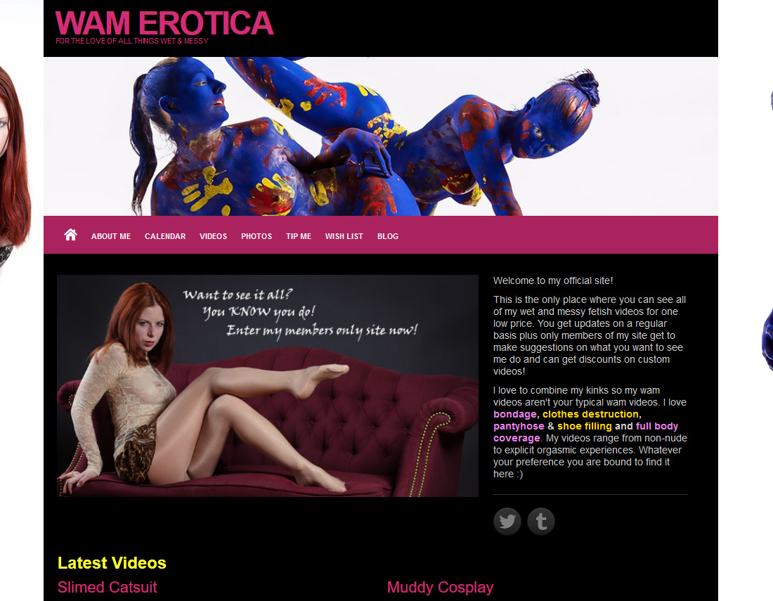Video Erotica Net